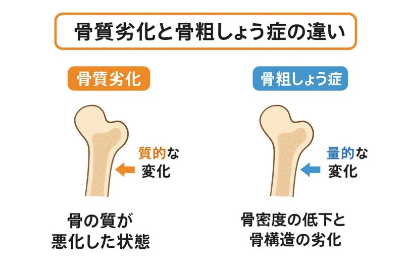 kotushitu-rekka-kotusoshoushou-diff